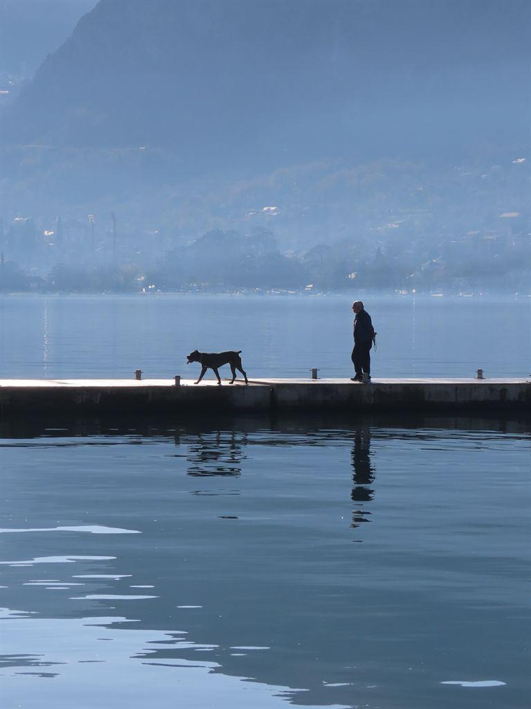 man&dog
