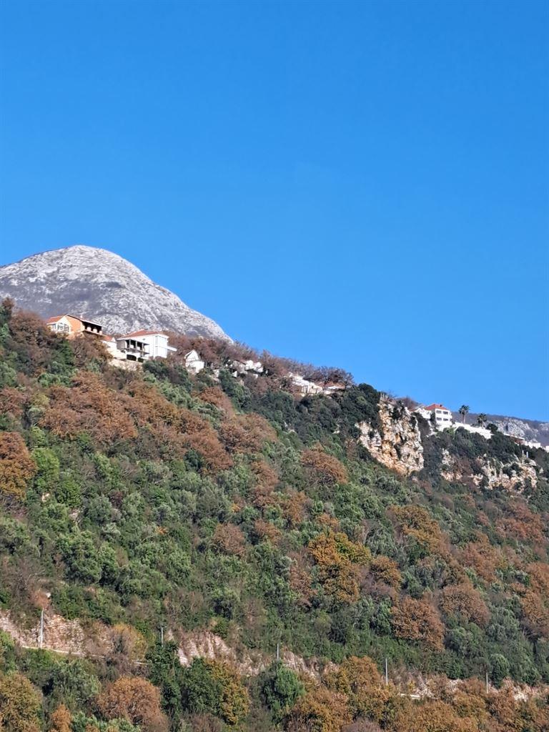mountainside