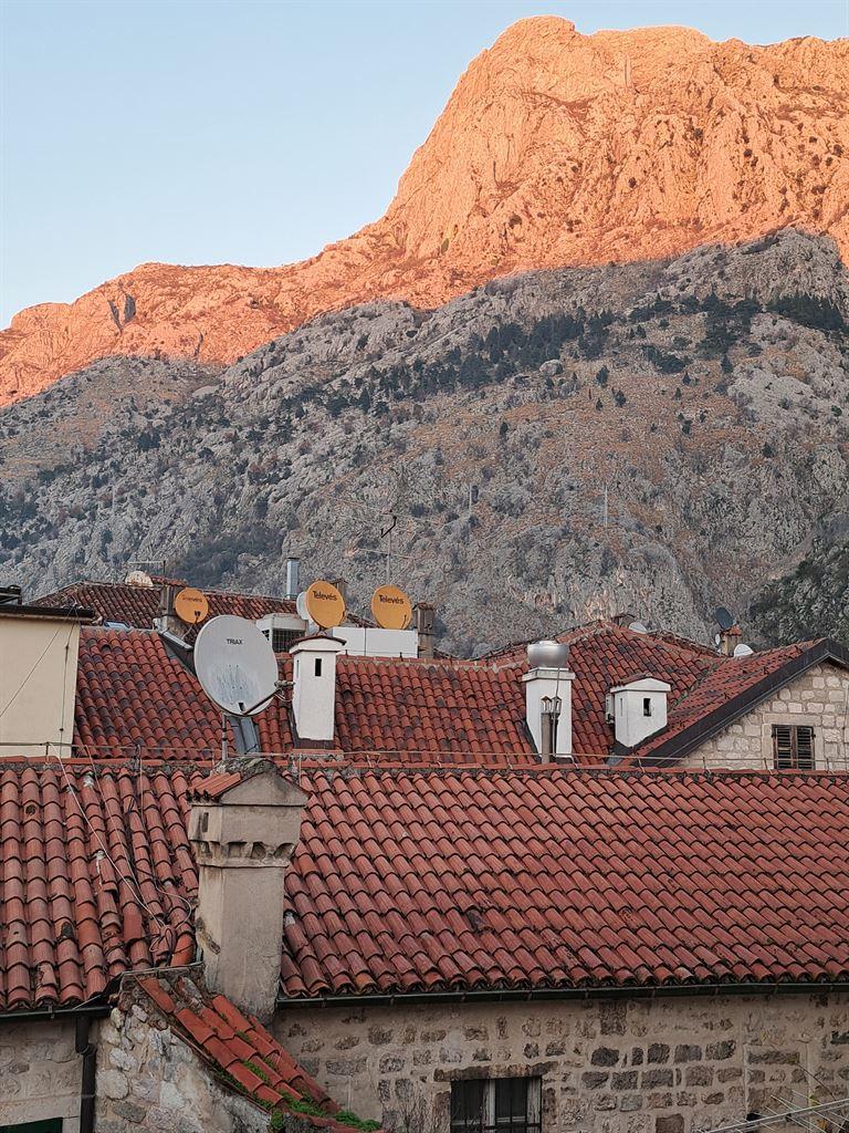 roofs