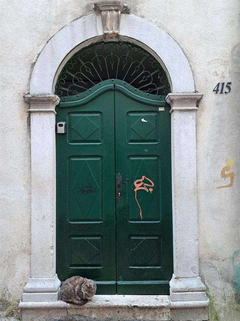 cat&door