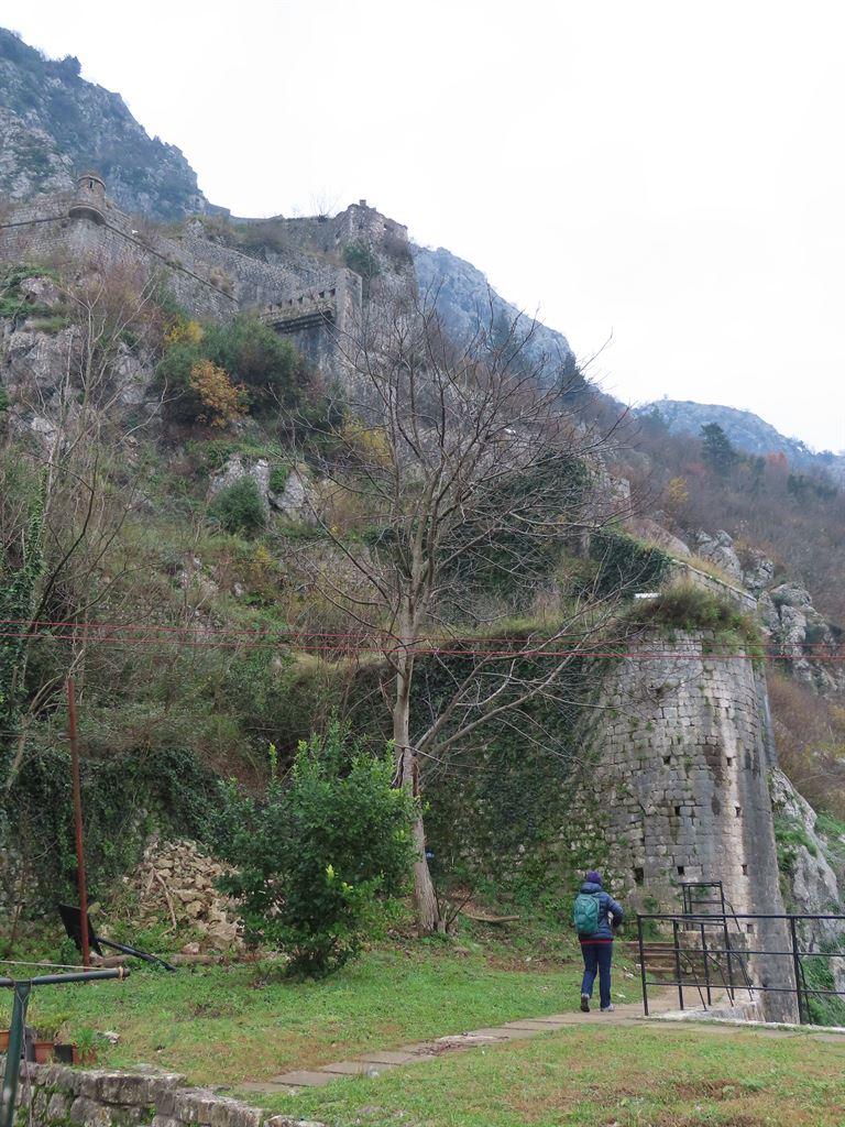 wall