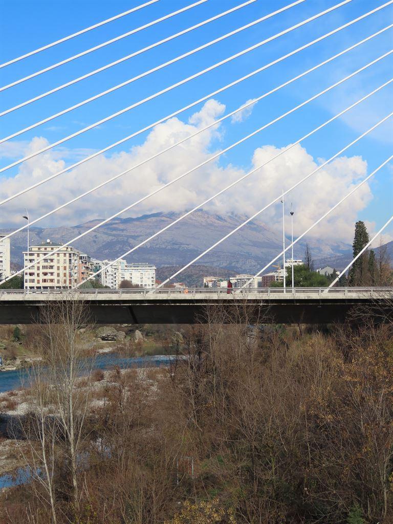 bridge1