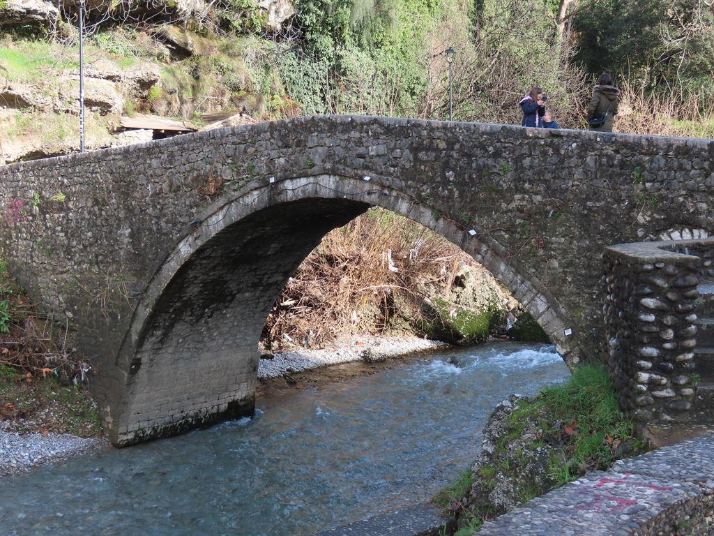 bridge2
