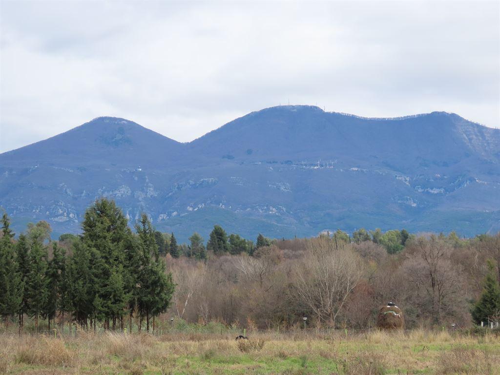 mountains