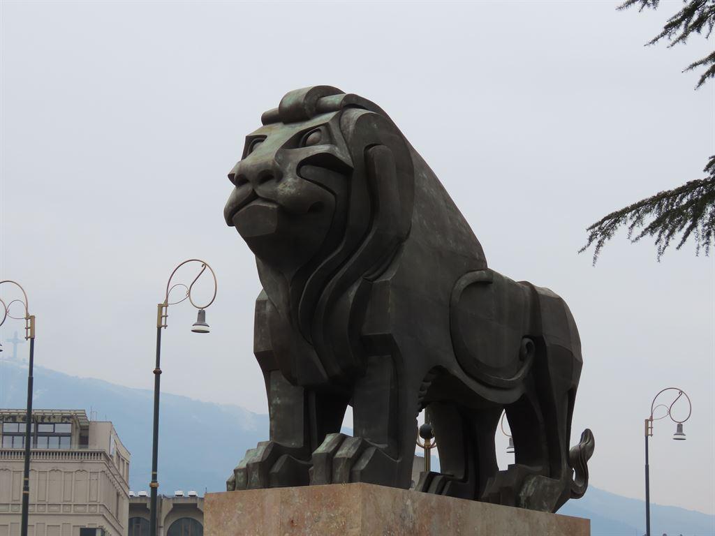 lion3