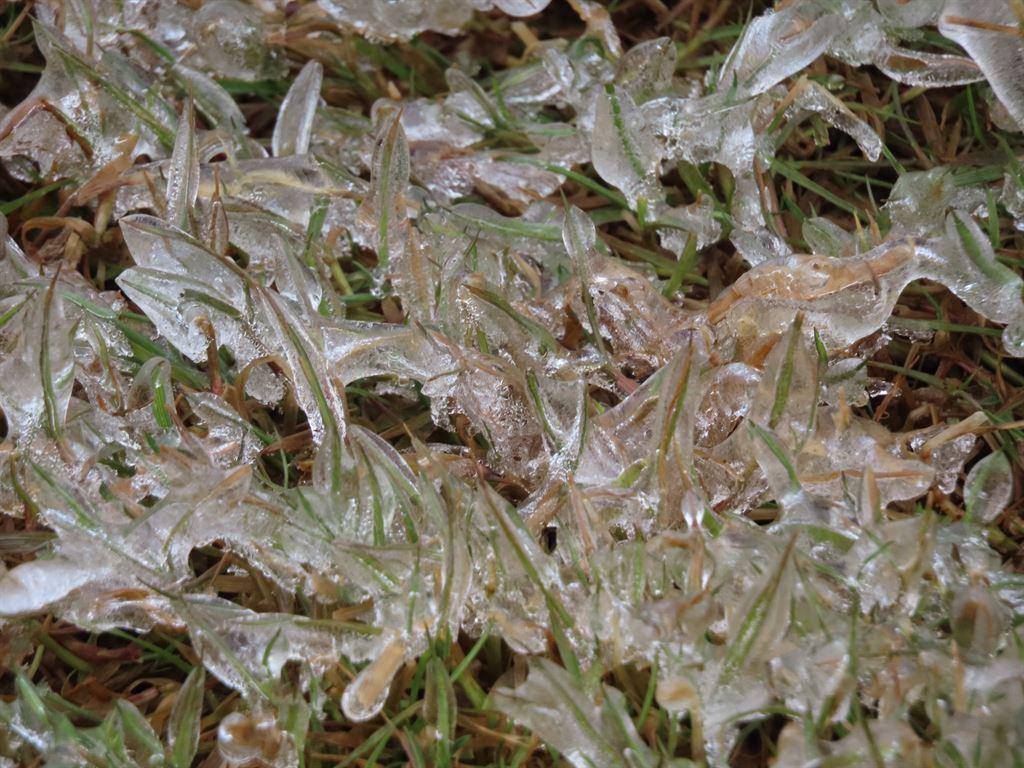 ice