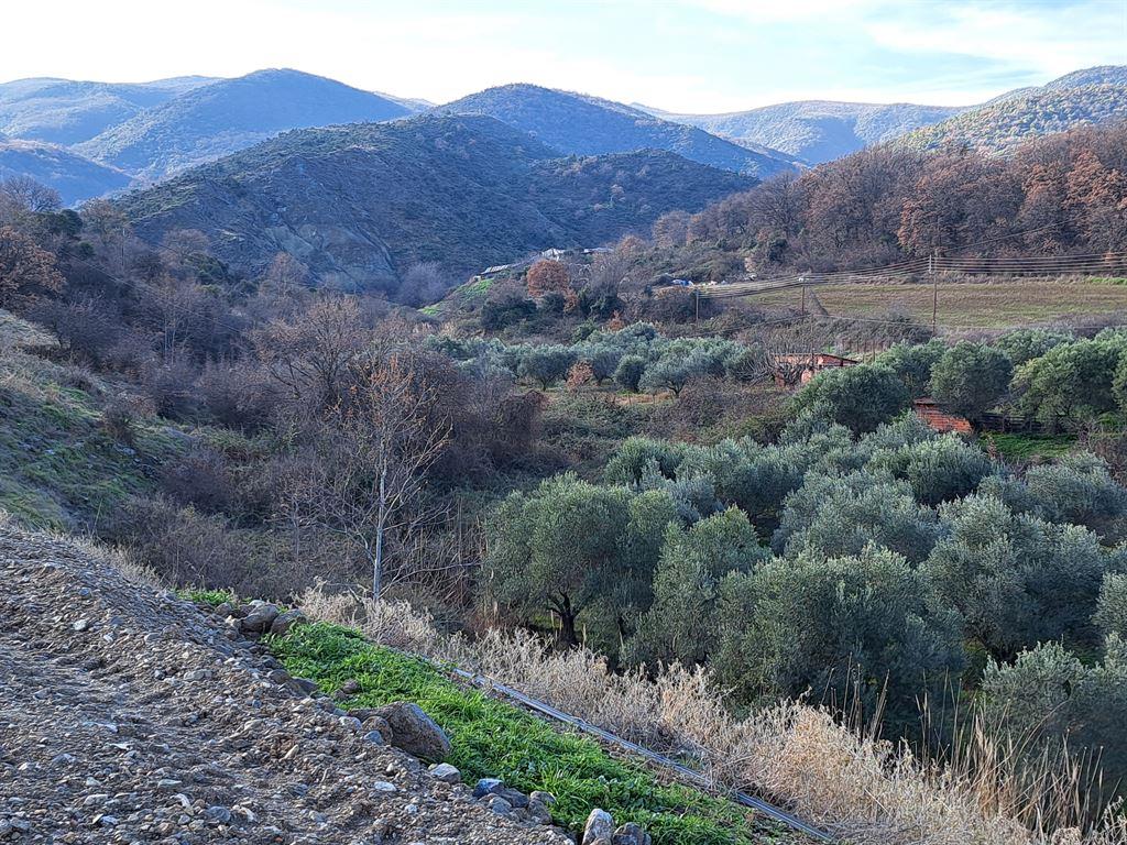valley2