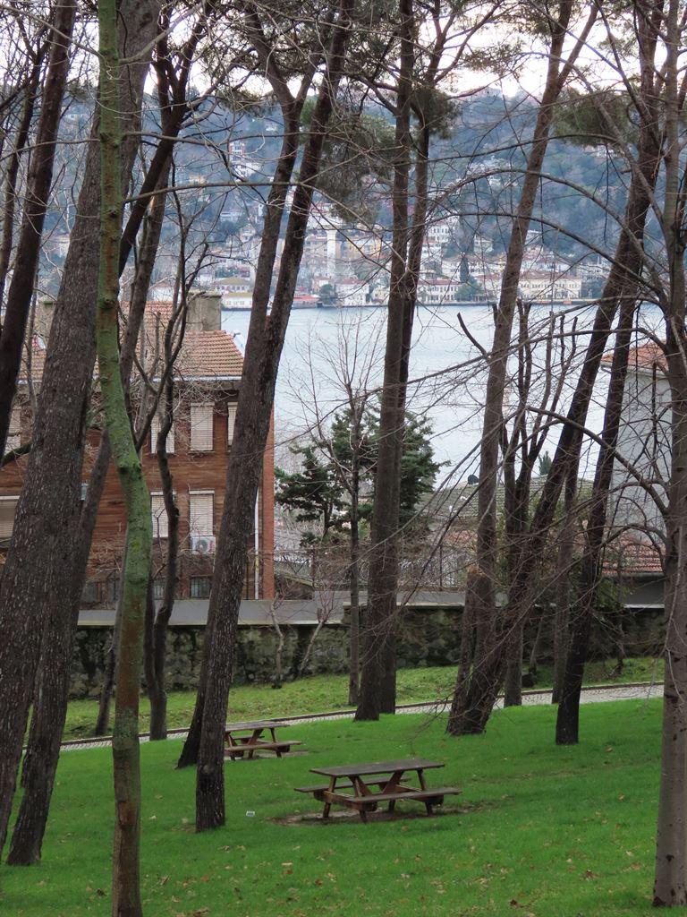 view