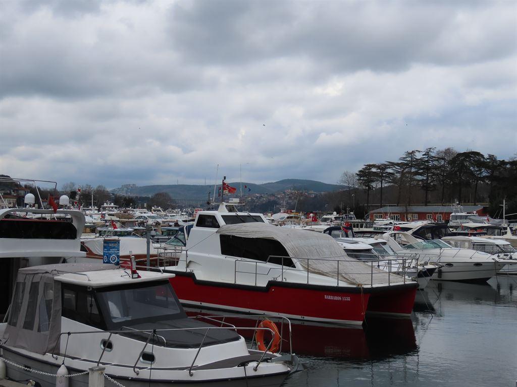 marina