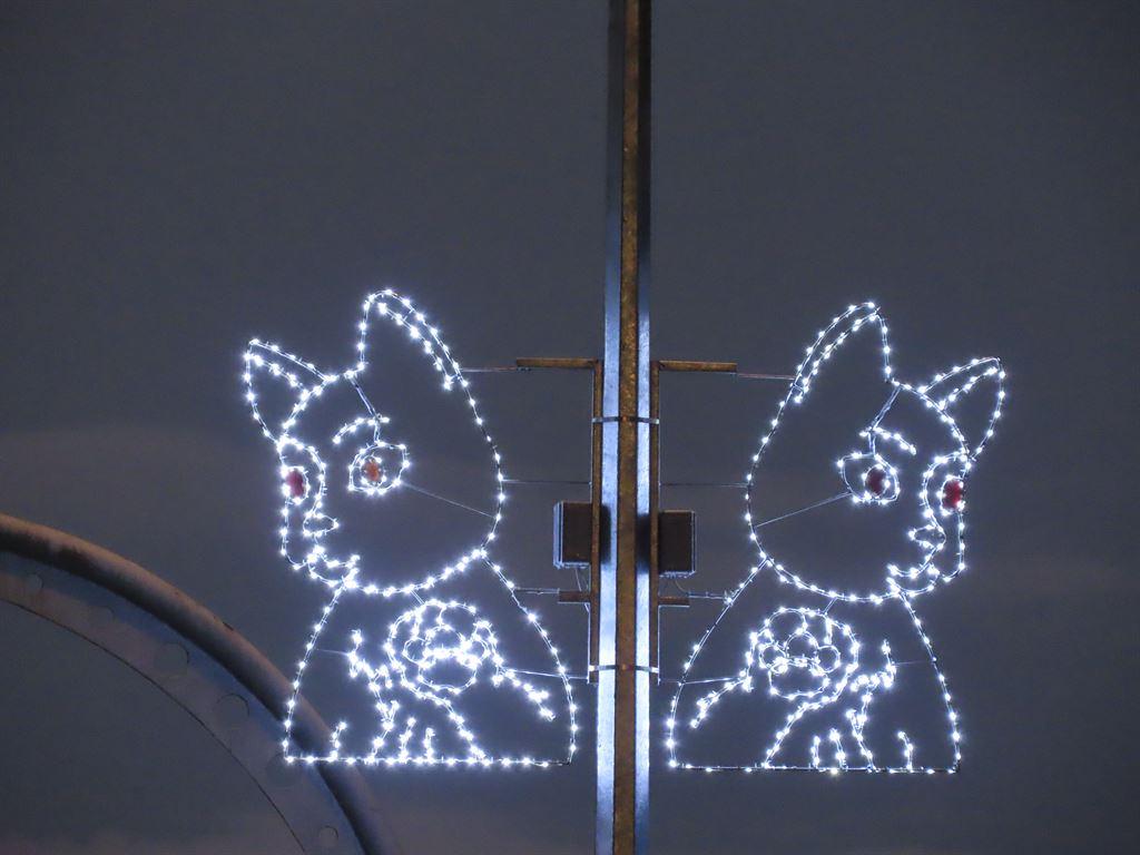 catlights