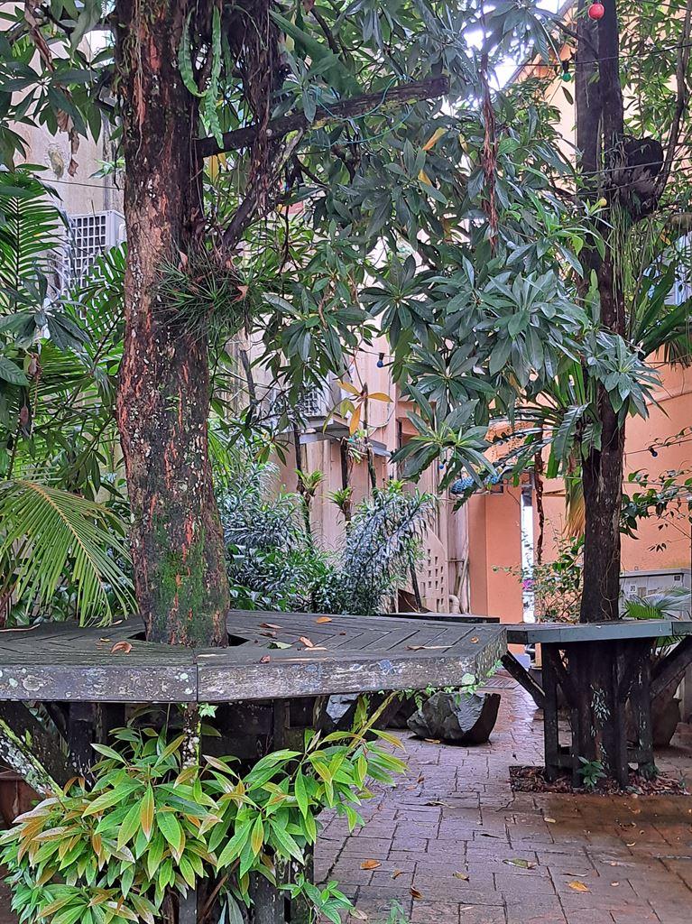 garden