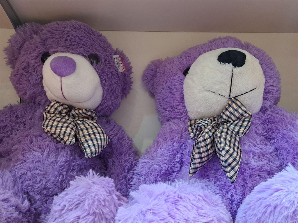 bears