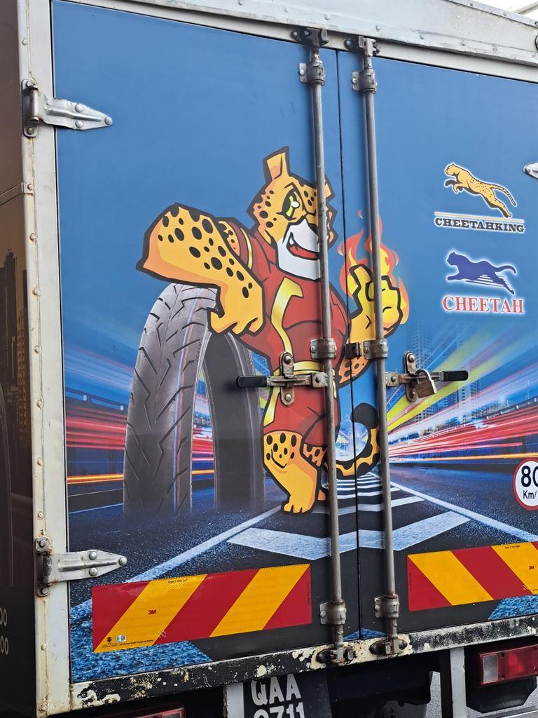 cheetah