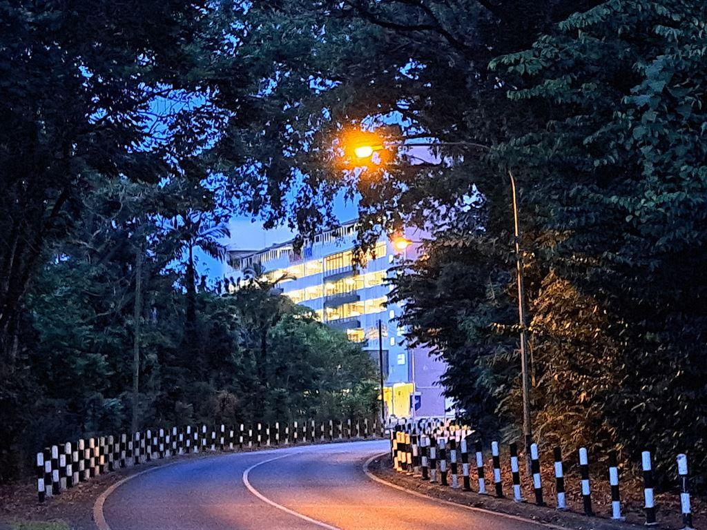 dawn