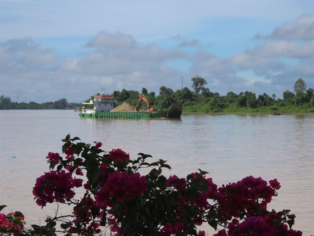 flowers&boat