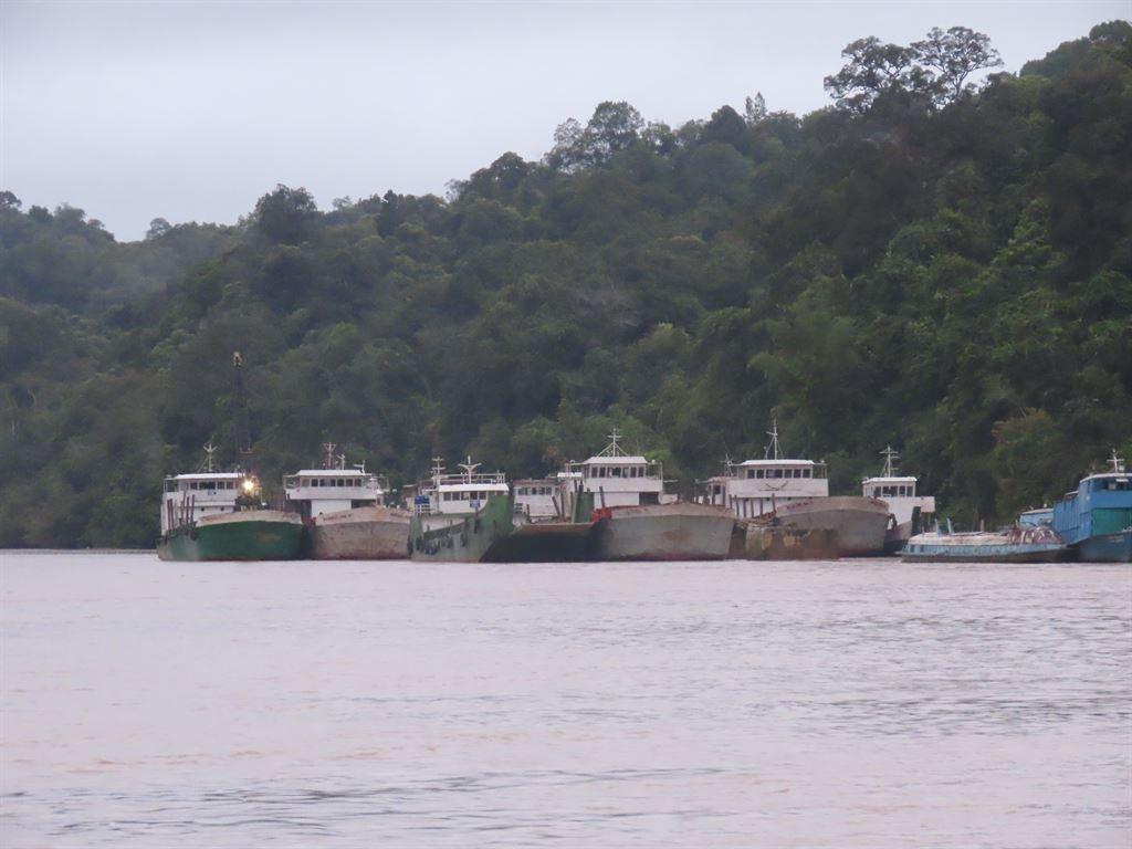 manyboats