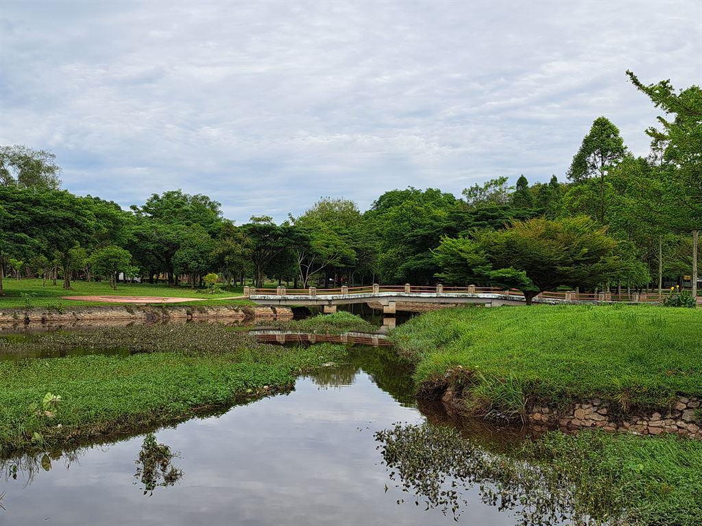 bridge3
