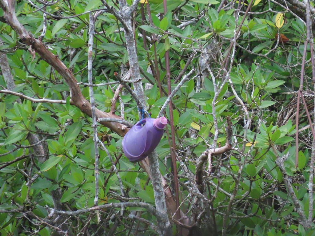 thingintree