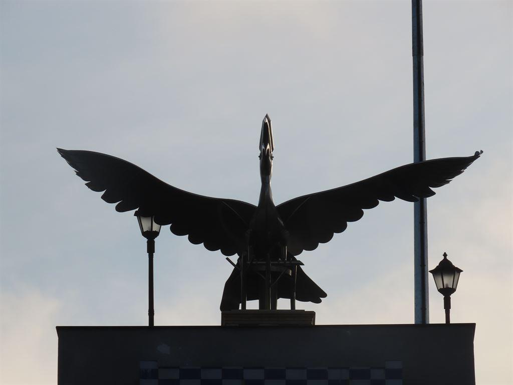 bird1
