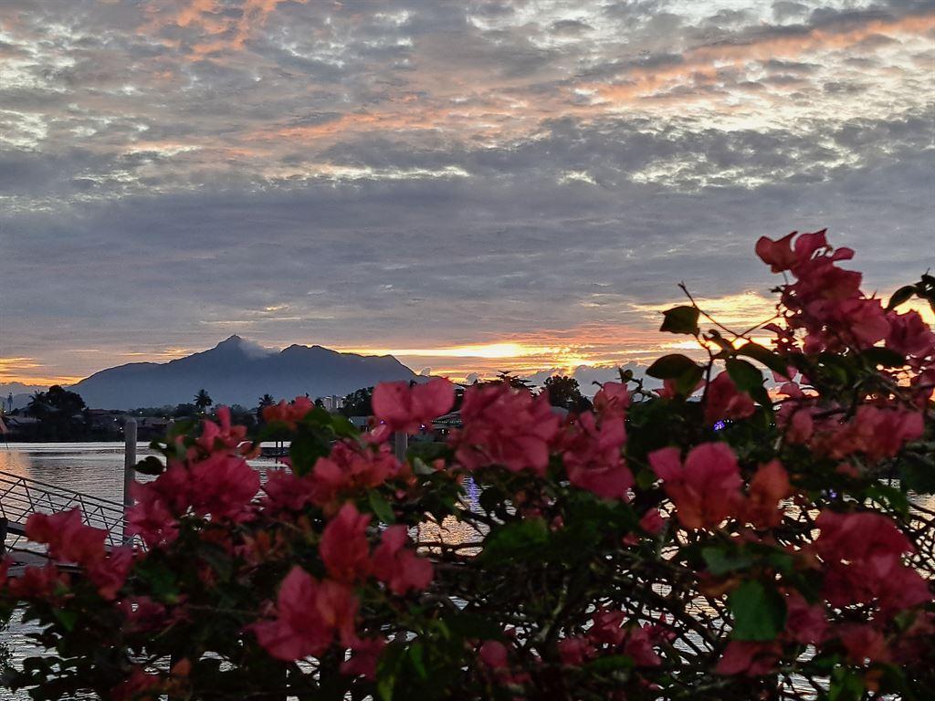 flowers&sunset