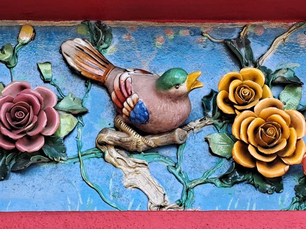 bird