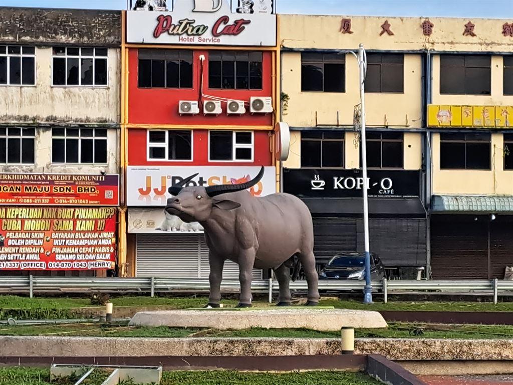 buffalo2