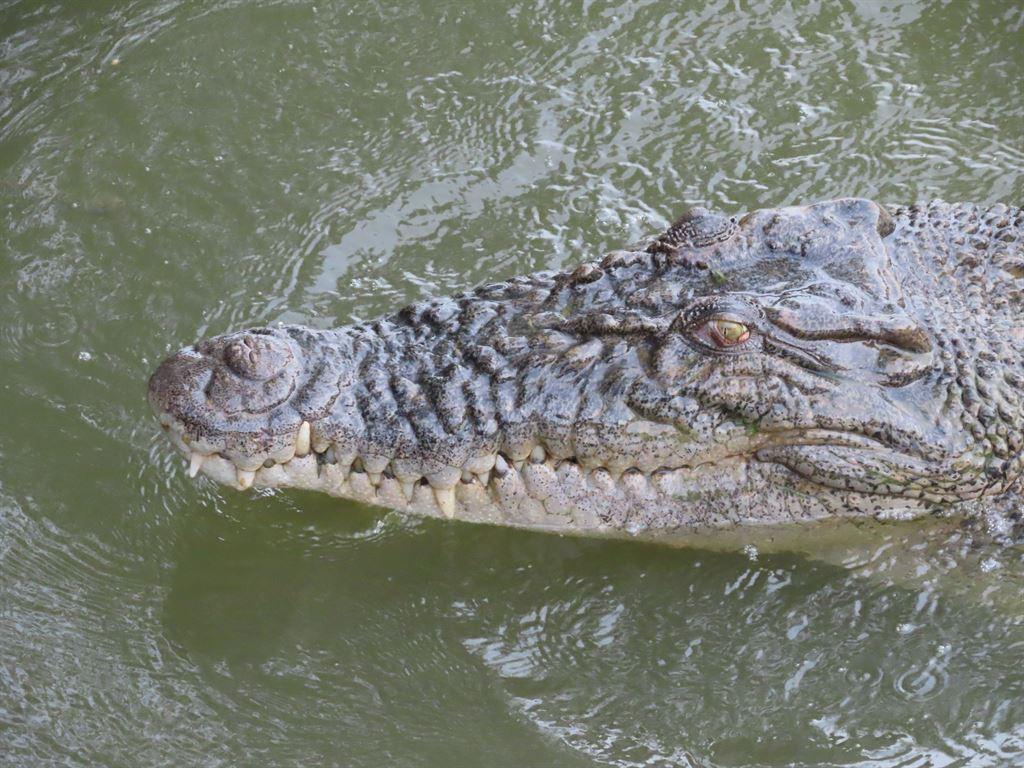 amcroc2