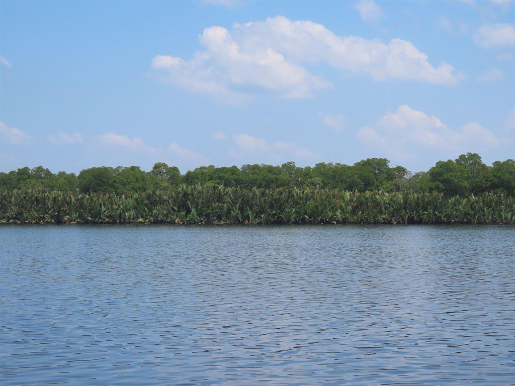 river
