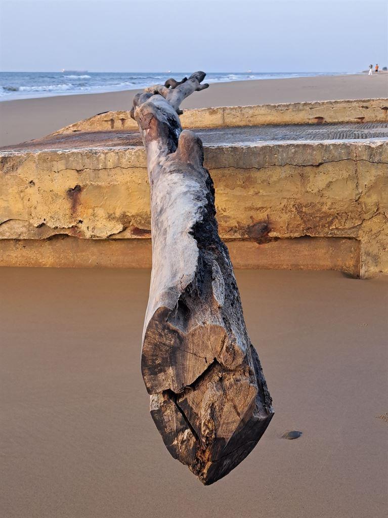 log