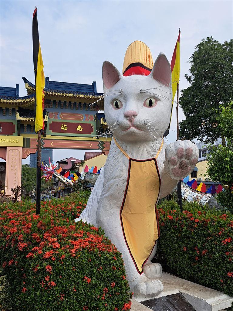 cat