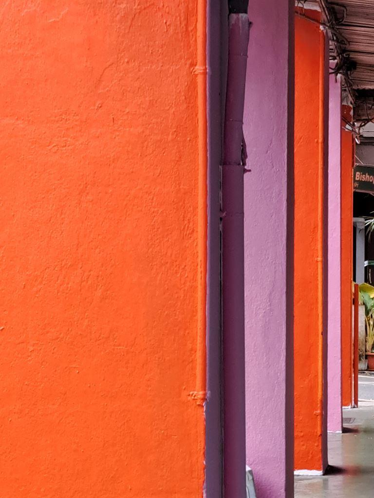 orange&pink2