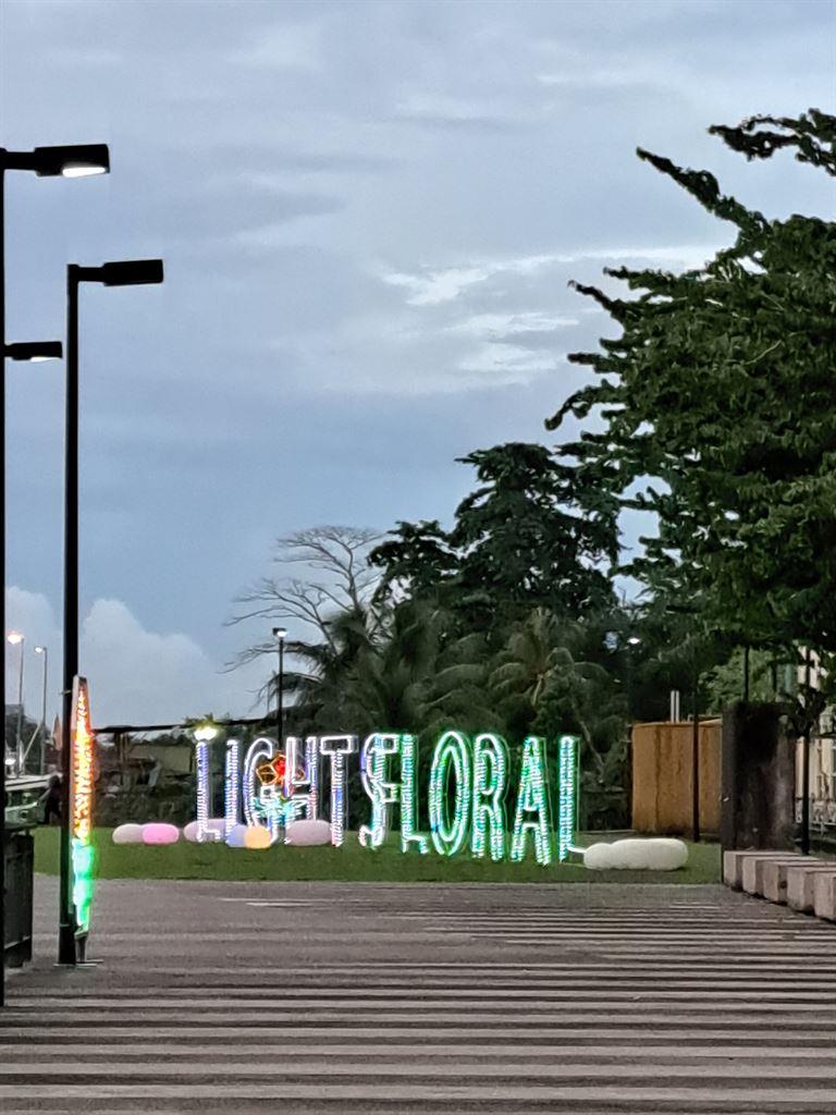 lightsflora