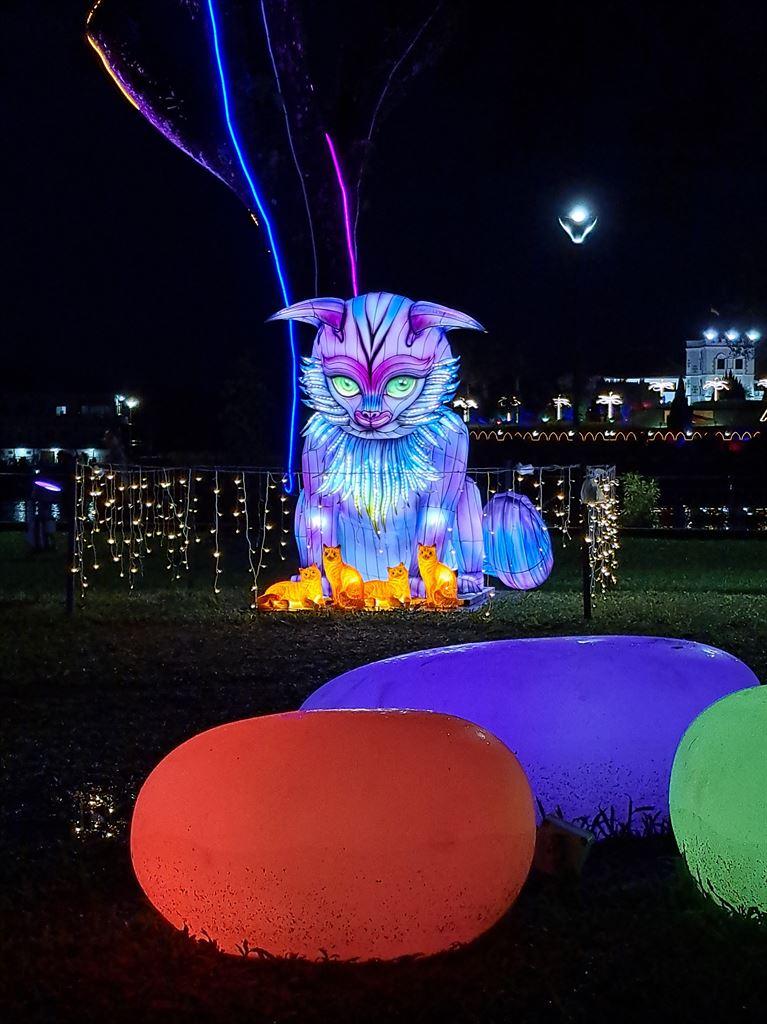 purplecat