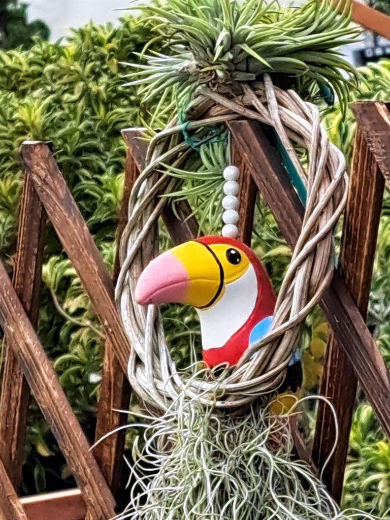 toucan