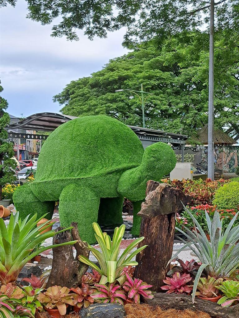 turtle