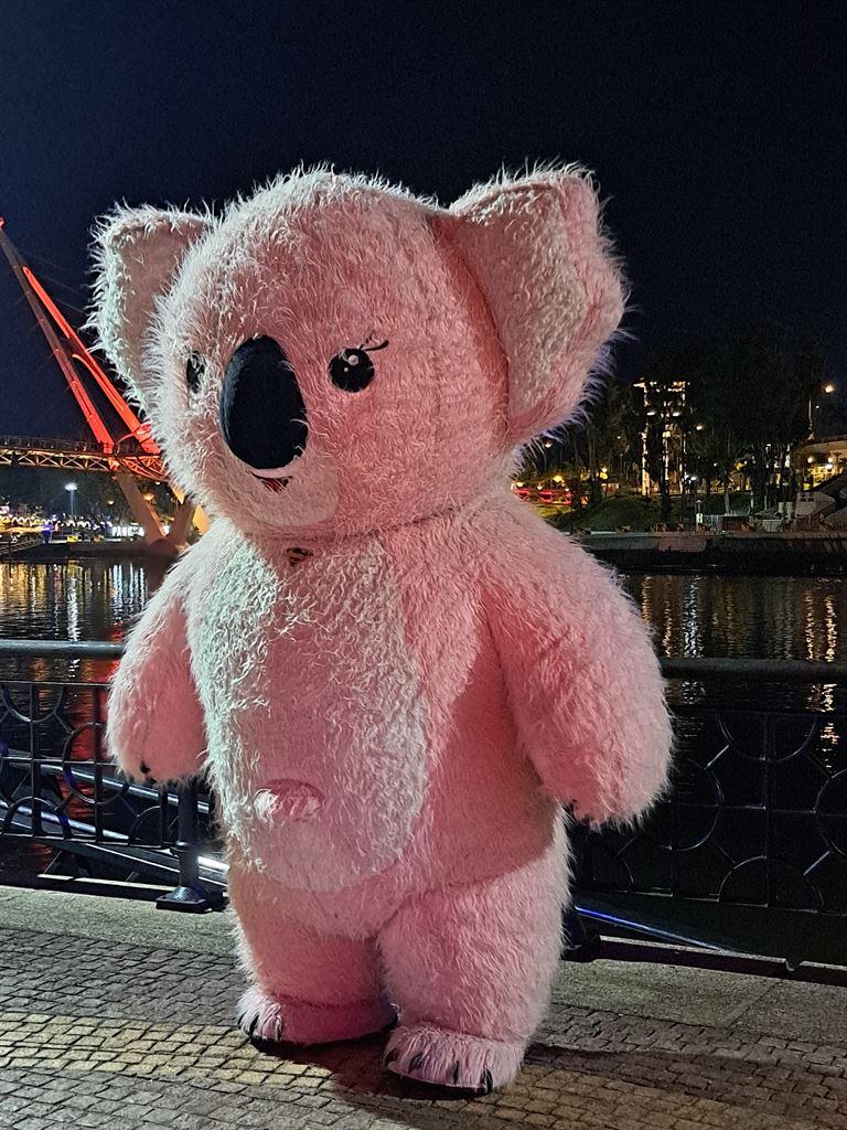 koala