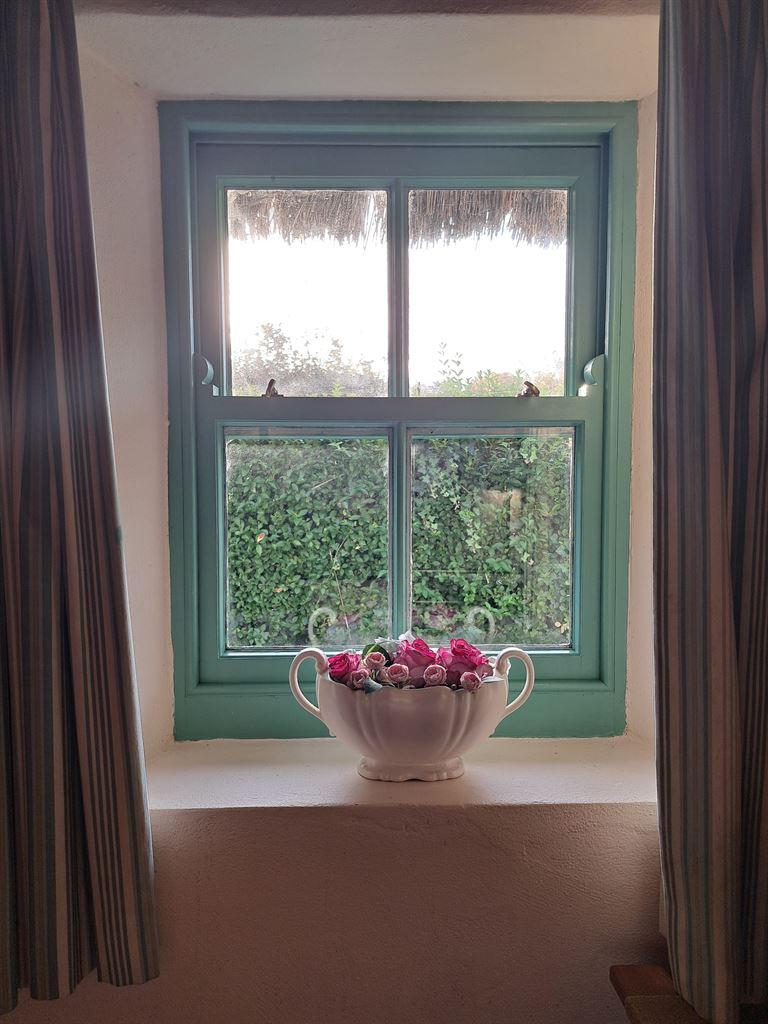 window