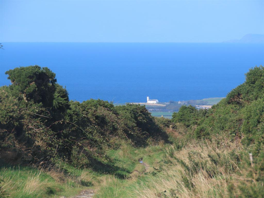 view3