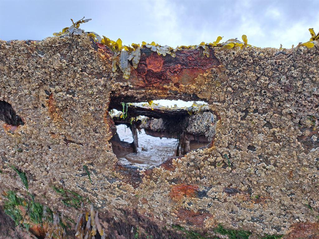 wreck6