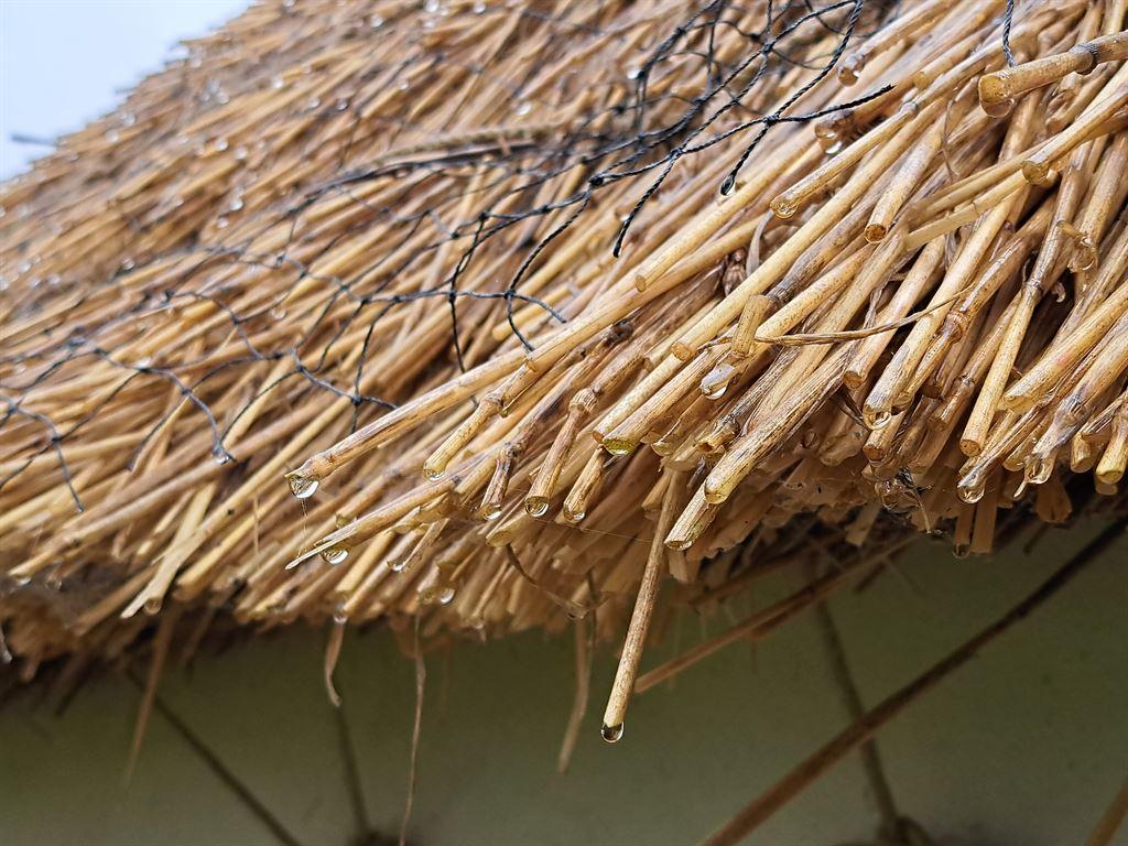 thatch1