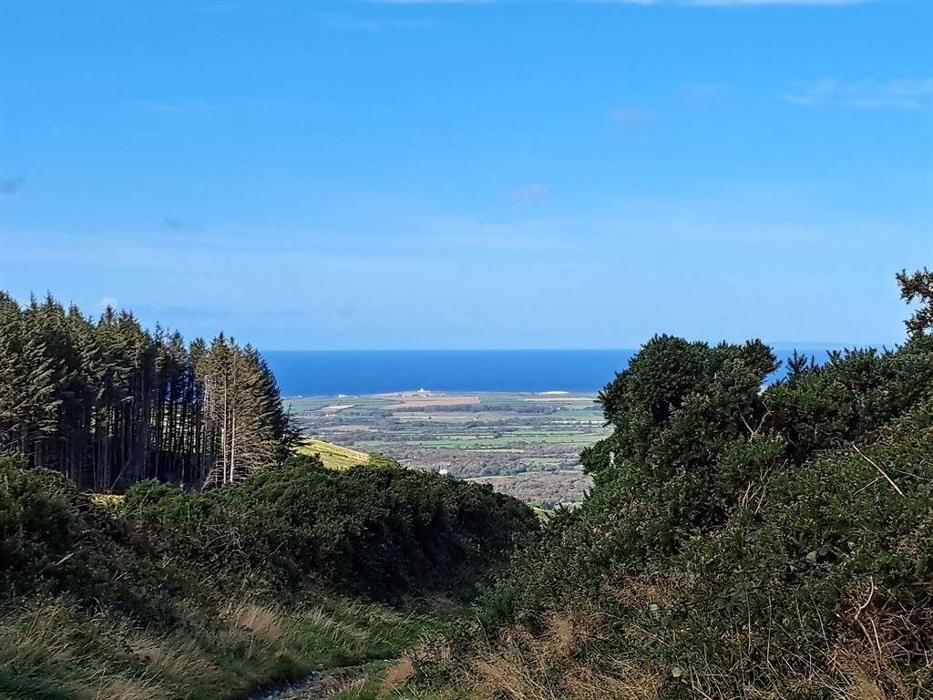 view2