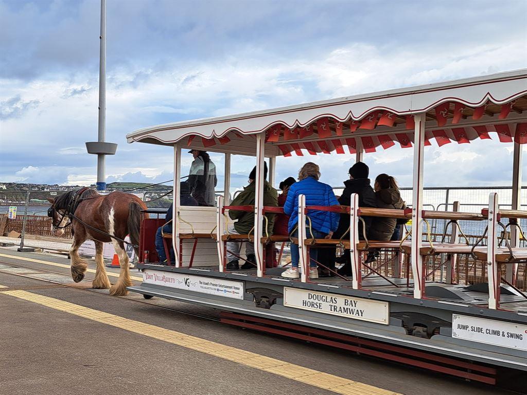 horsetram1