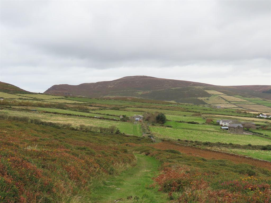 view1