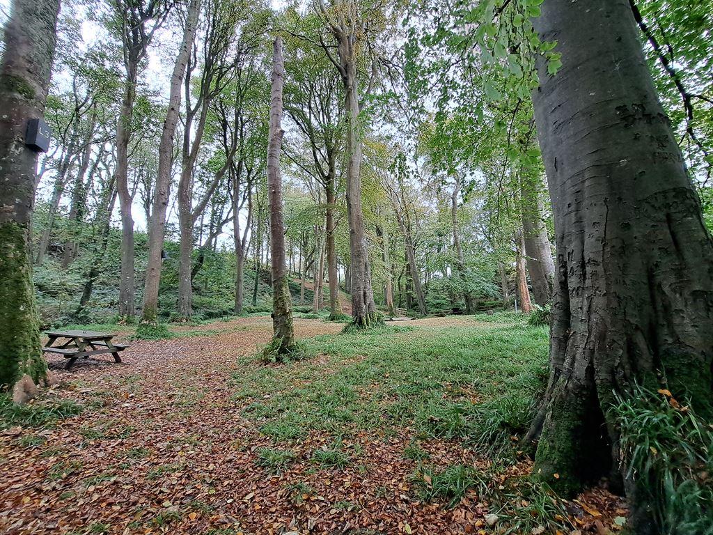glen2