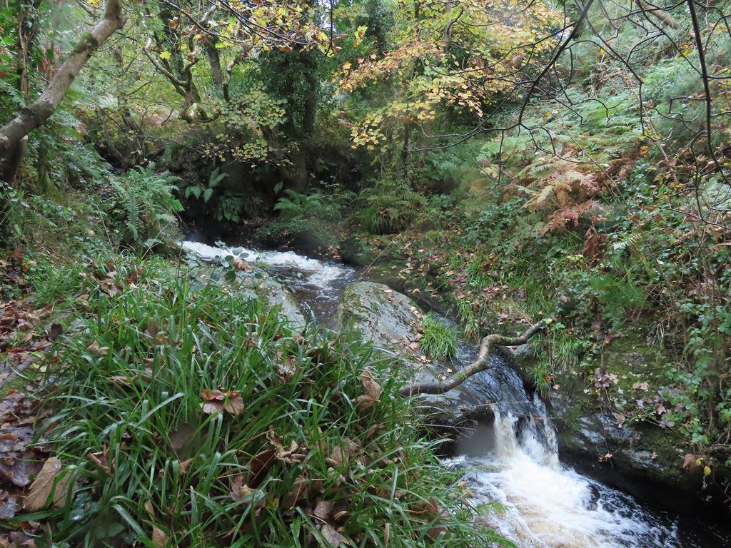 glen1