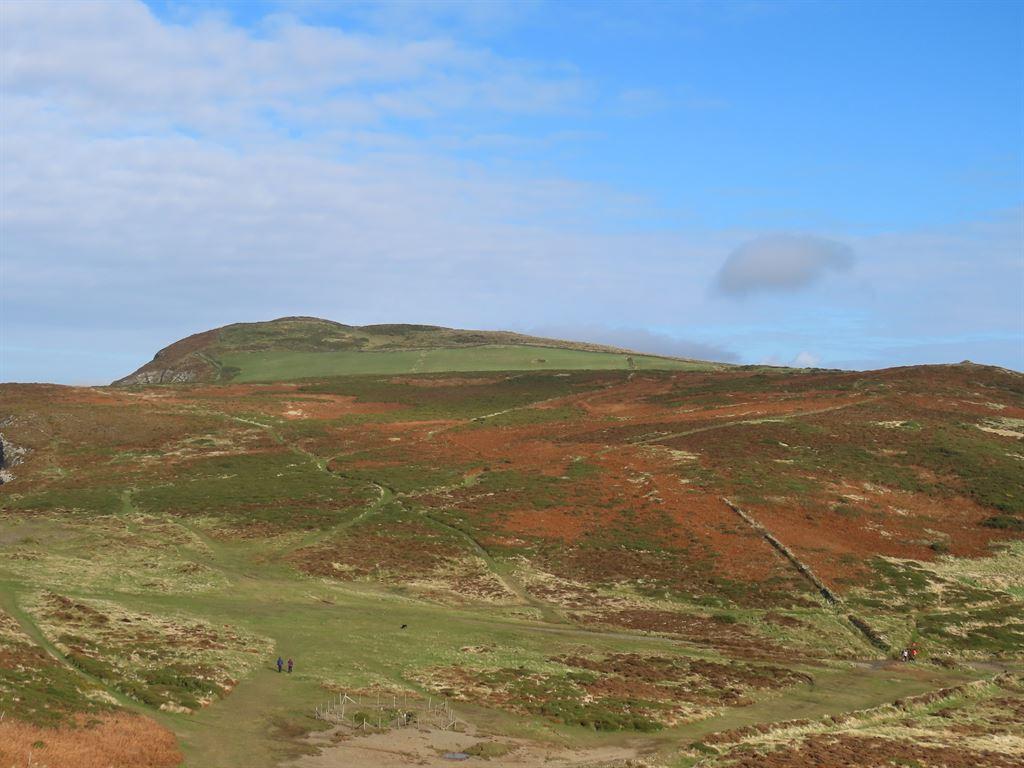 moor