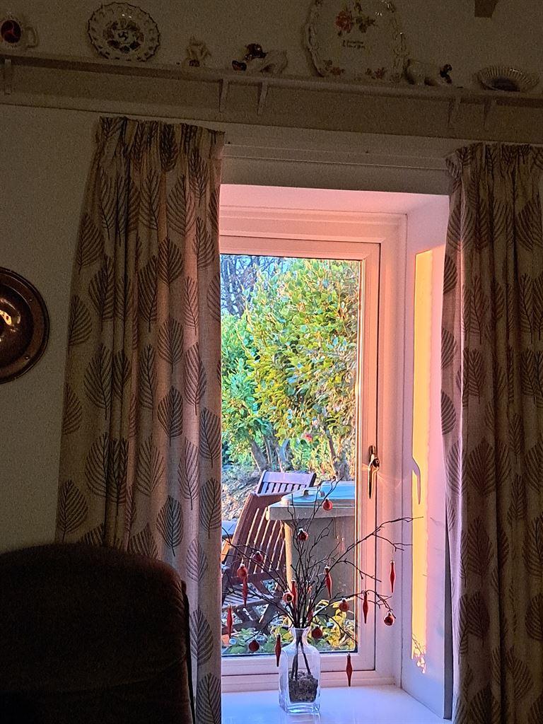 window