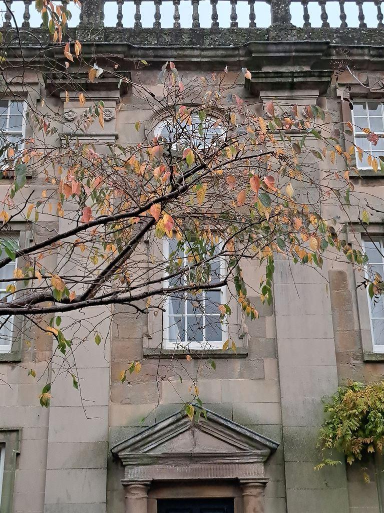 fancyhouse