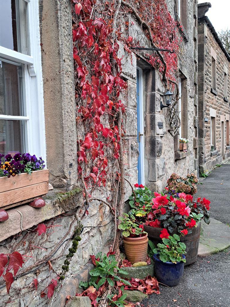 redcreeper