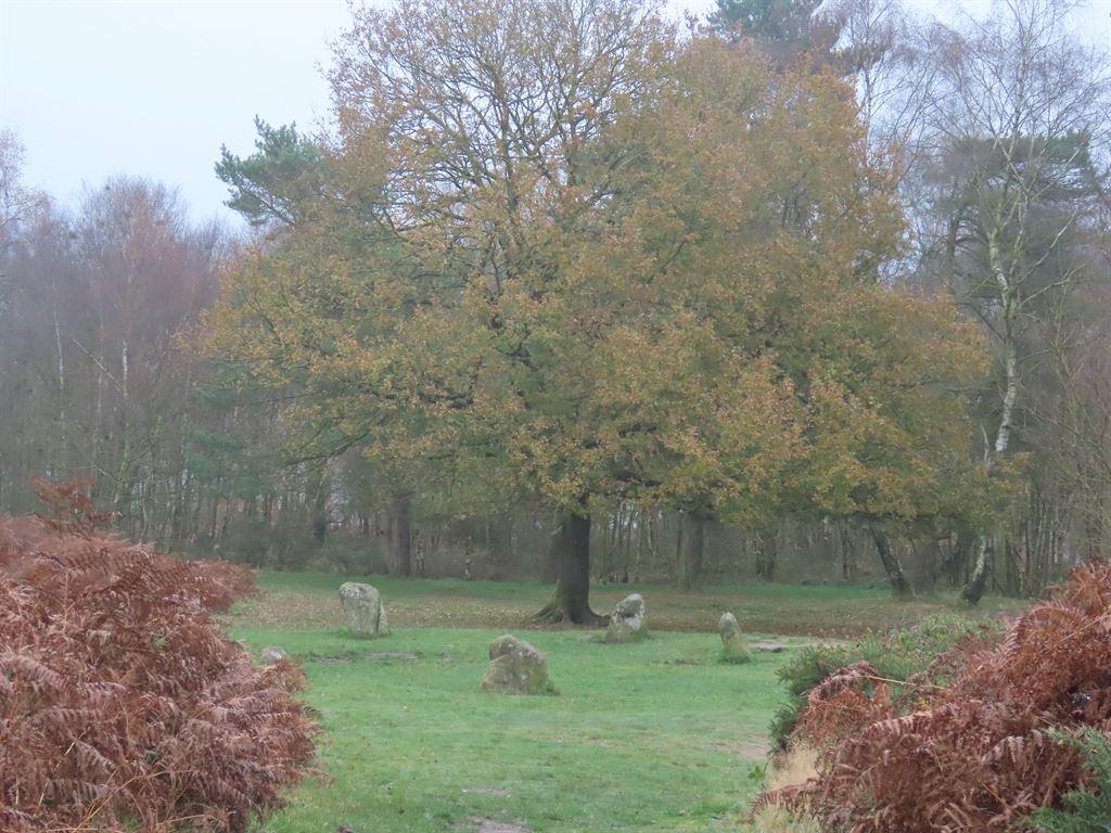 tree&stones